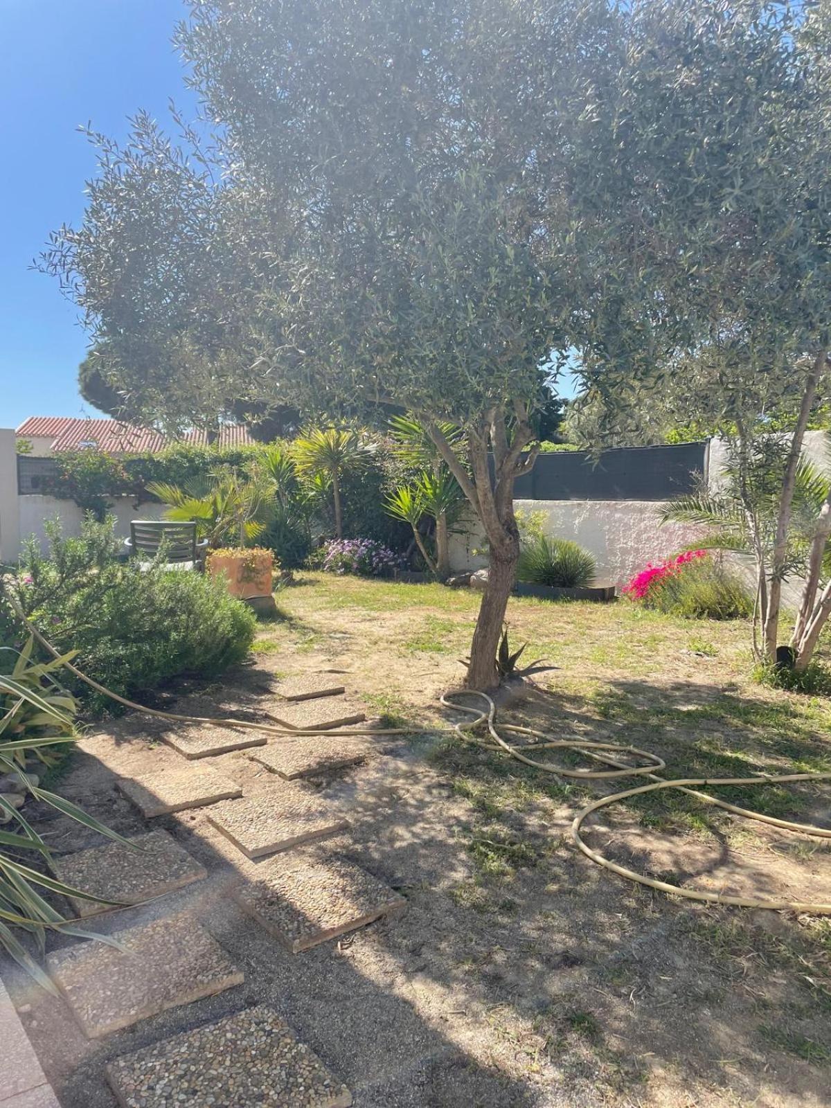 Belle Villa Classee 4 Etoiles Proche Plage Avec Jardin Saint-Cyprien (Pyrenees-Orientales) Exterior foto